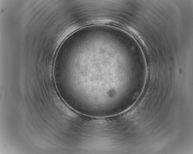 X0000087381186200704271549