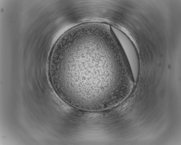 X0000087381187200704271549