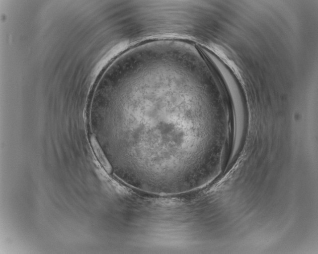 X0000087381189200704271549