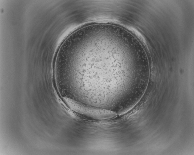 X0000087381191200704271549