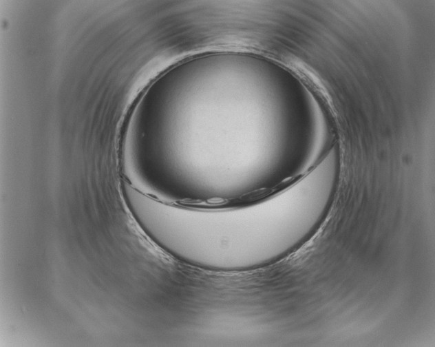 X0000087381192200704271549