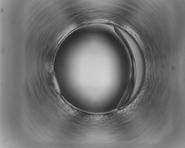 X0000087381193200704271549