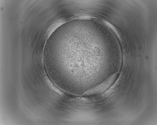 X0000087381194200704271549