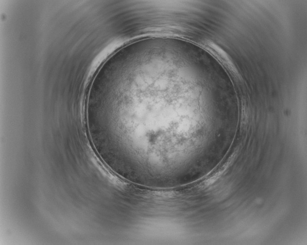 X0000087381196200704271549