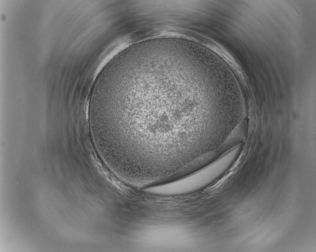 X0000087381198200704271549