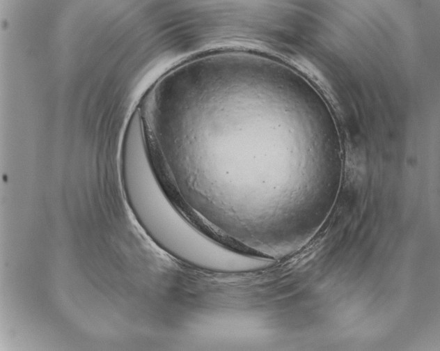 X0000087381199200704271549