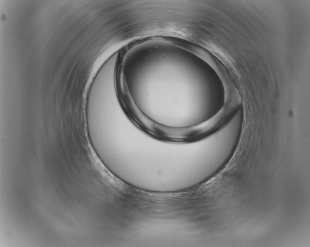 X0000087381200200704271549