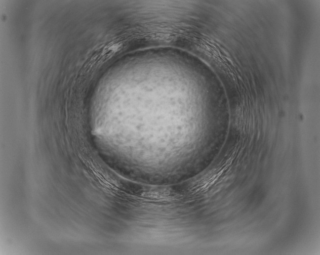 X0000087381201200704271548