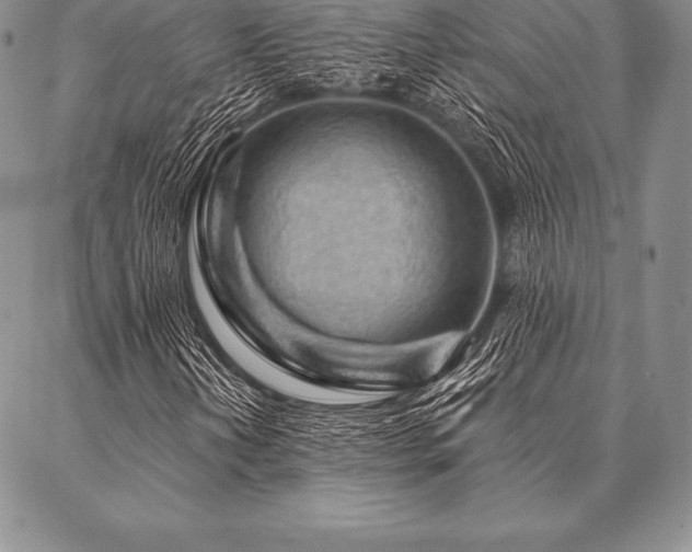 X0000087381202200704271548