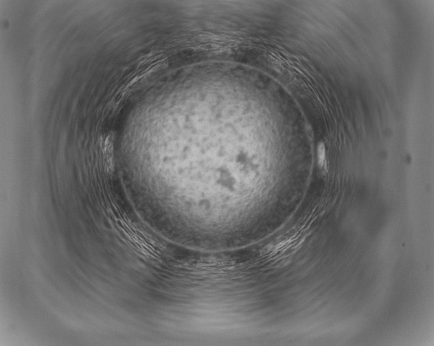 X0000087381203200704271548