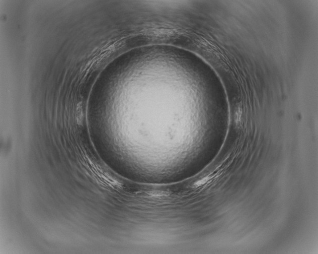 X0000087381204200704271548