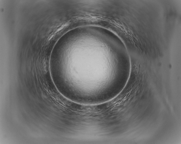 X0000087381205200704271548