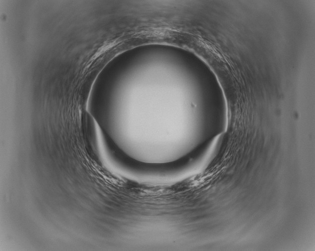 X0000087381206200704271549