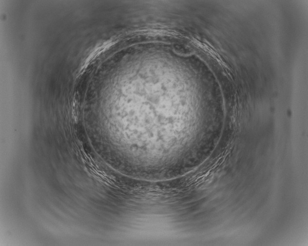 X0000087381207200704271549