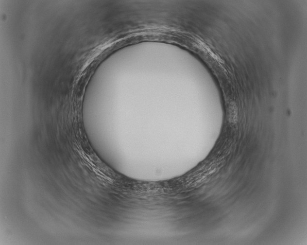 X0000087381208200704271549