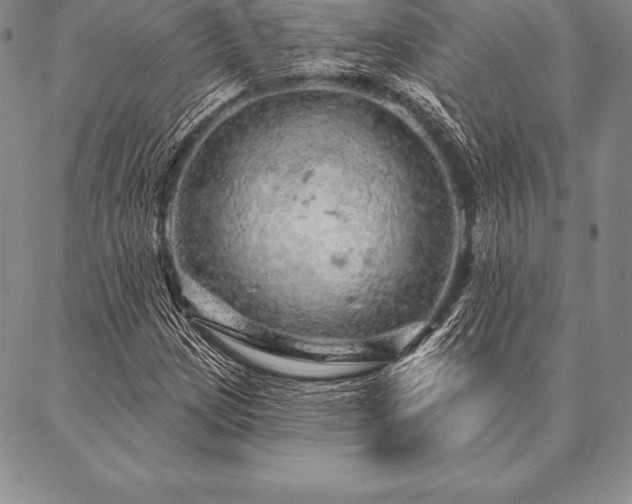 X0000087381209200704271549