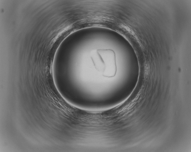 X0000087381210200704271549