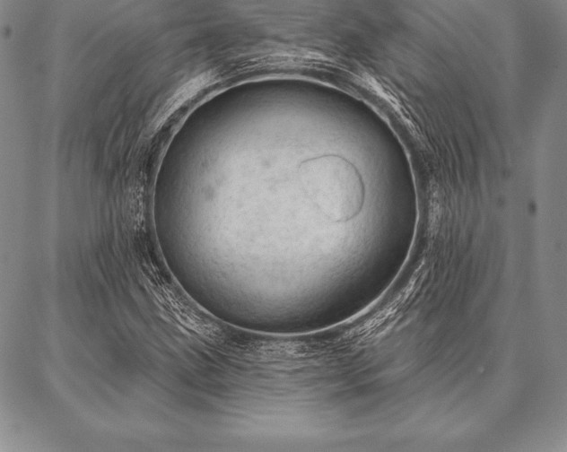 X0000087381211200704271549