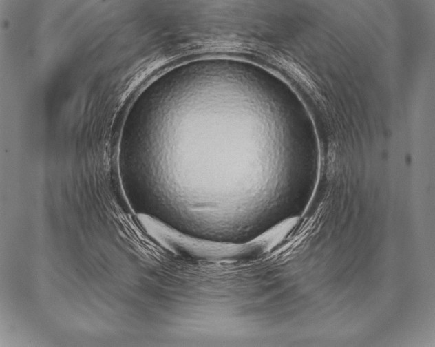 X0000087381212200704271549