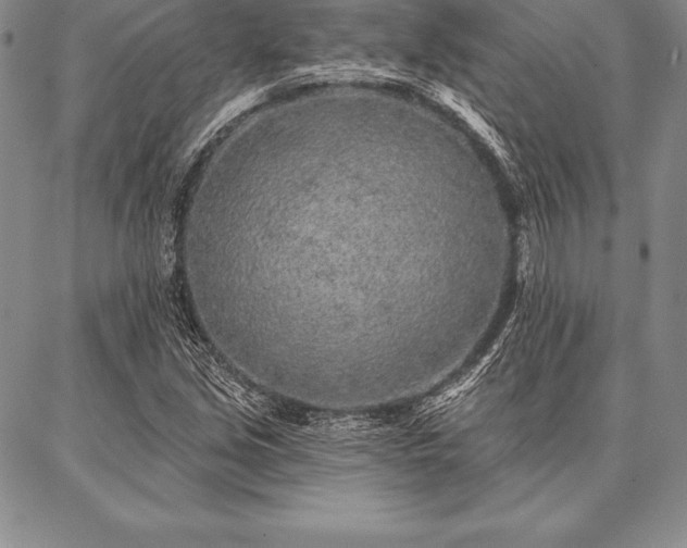 X0000087381213200704271549