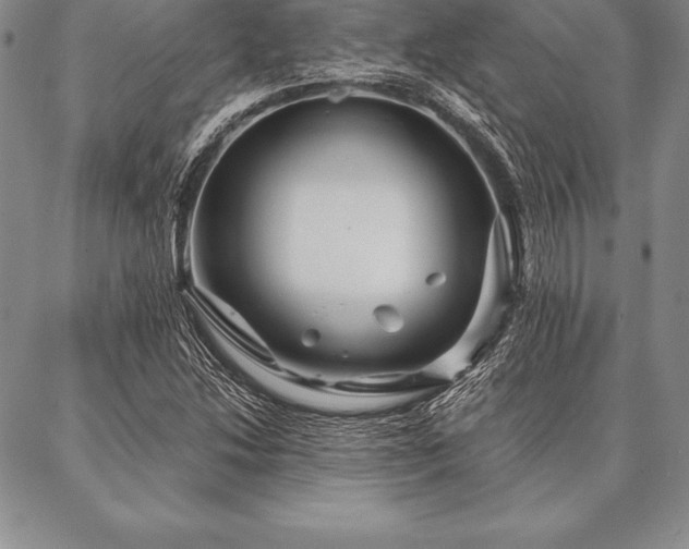 X0000087381214200704271549