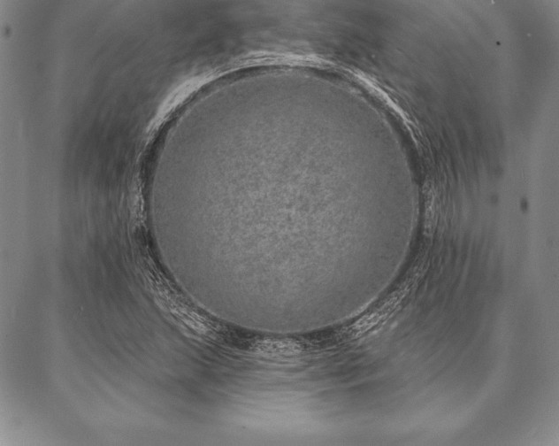 X0000087381215200704271549