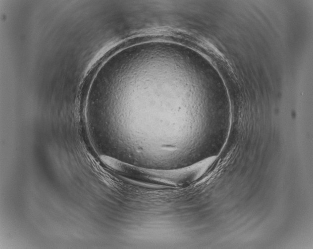 X0000087381216200704271549