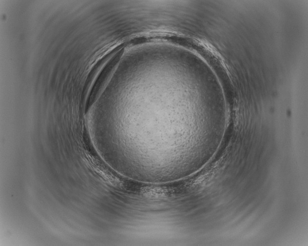 X0000087381217200704271549