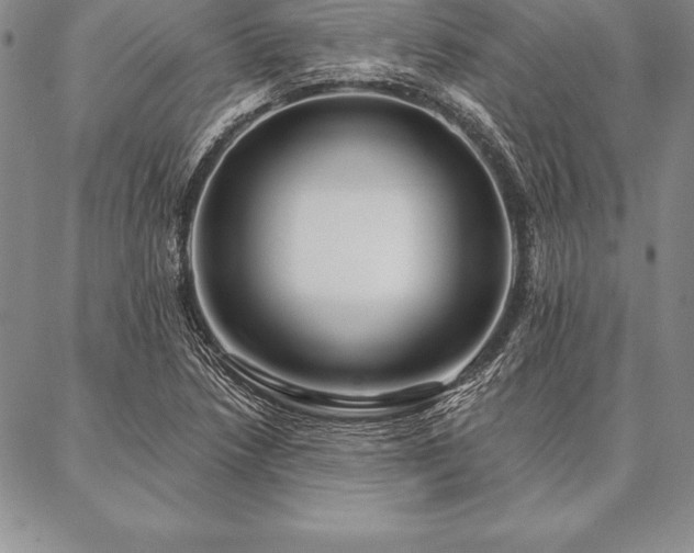 X0000087381218200704271549