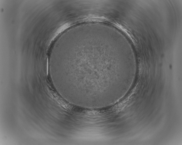 X0000087381219200704271549