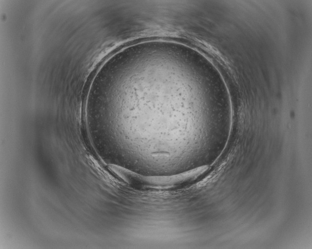 X0000087381220200704271549