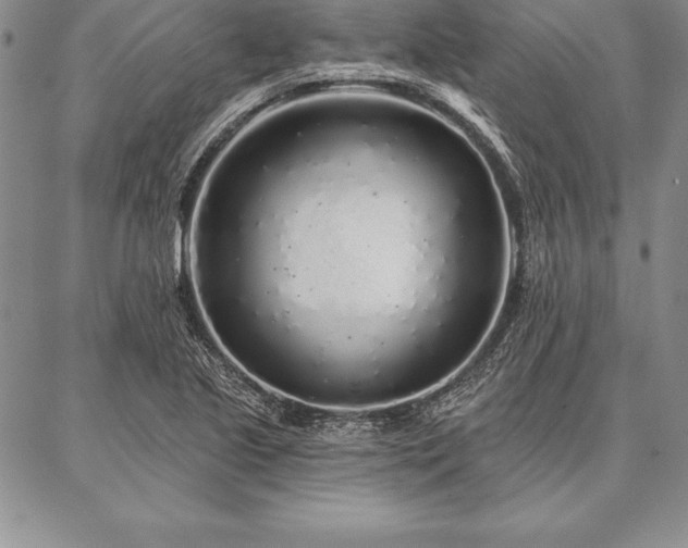 X0000087381221200704271549