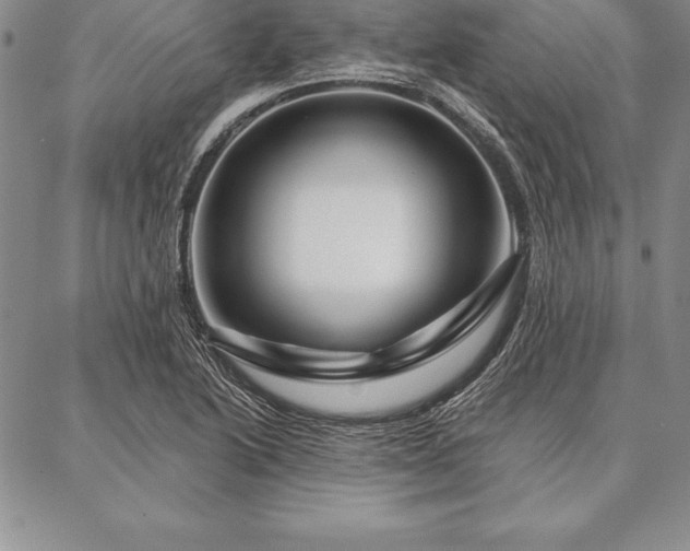 X0000087381222200704271549