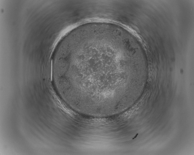 X0000087381223200704271549