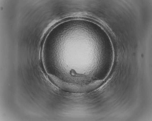 X0000087381224200704271549