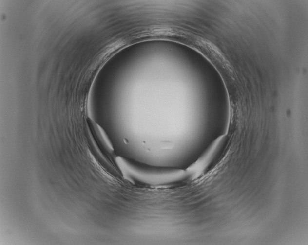 X0000087381225200704271549