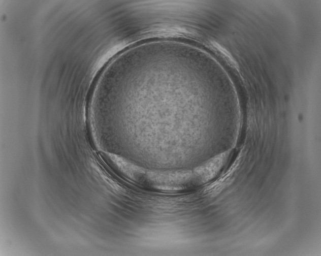 X0000087381226200704271549