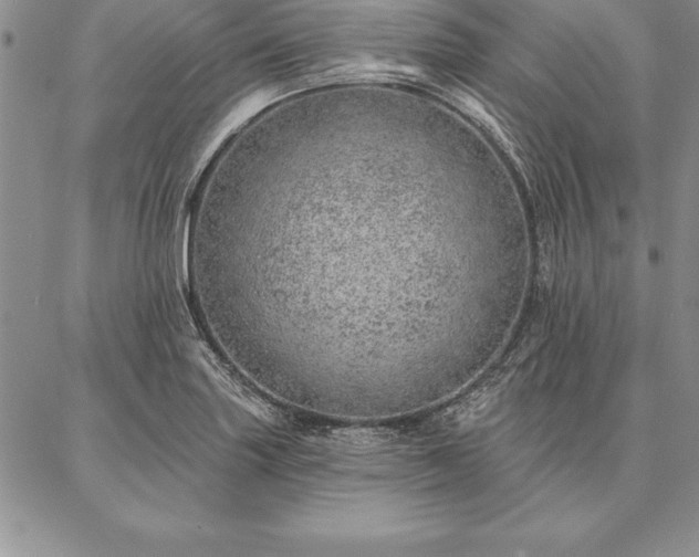 X0000087381227200704271549