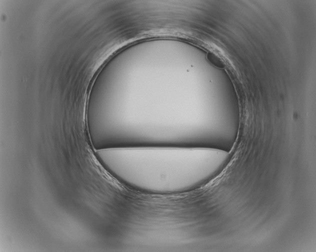 X0000087381228200704271549