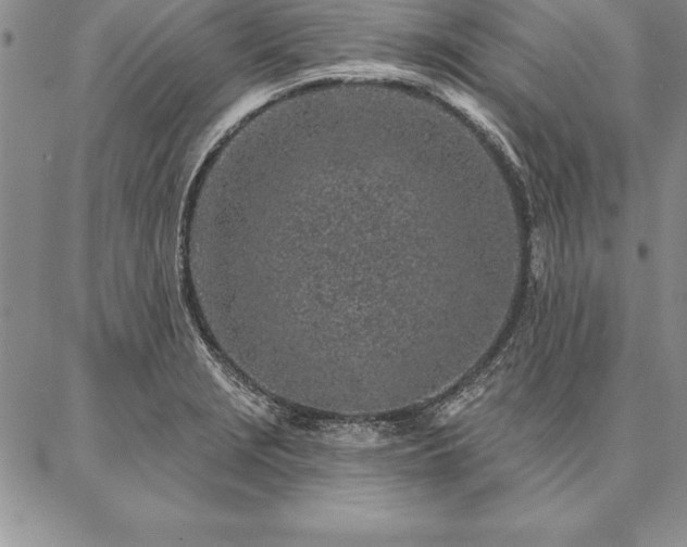 X0000087381229200704271549