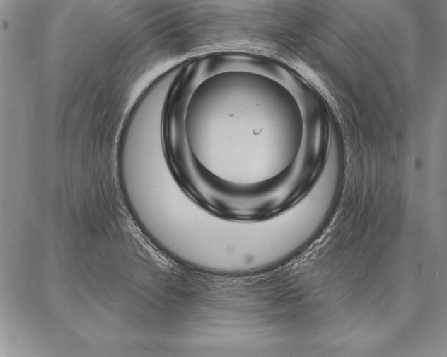 X0000087381230200704271549