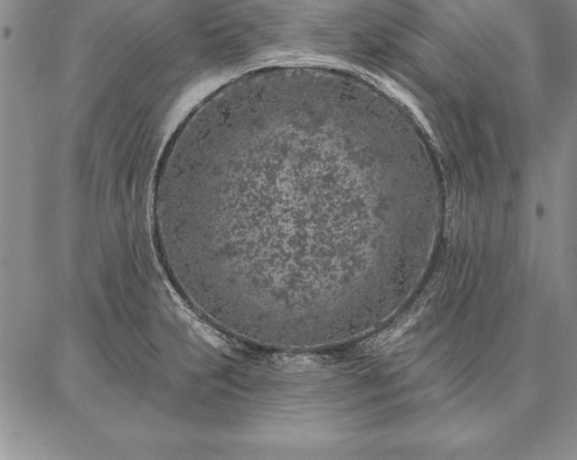 X0000087381231200704271549