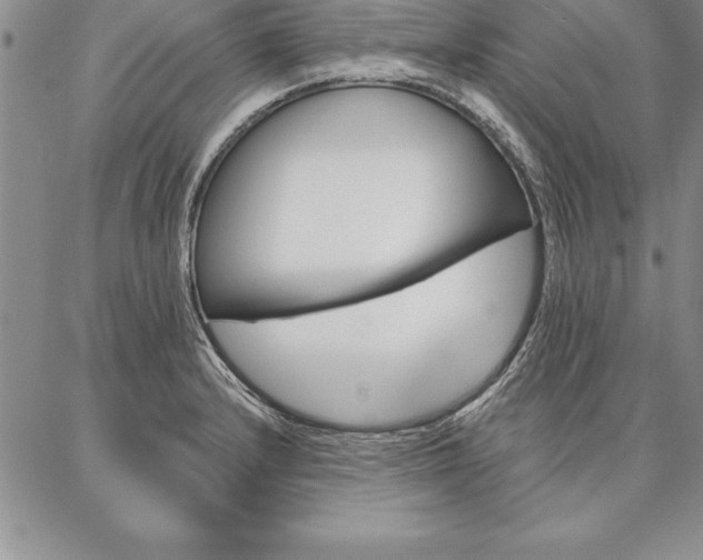 X0000087381232200704271549