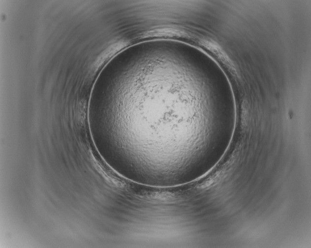 X0000087381233200704271549