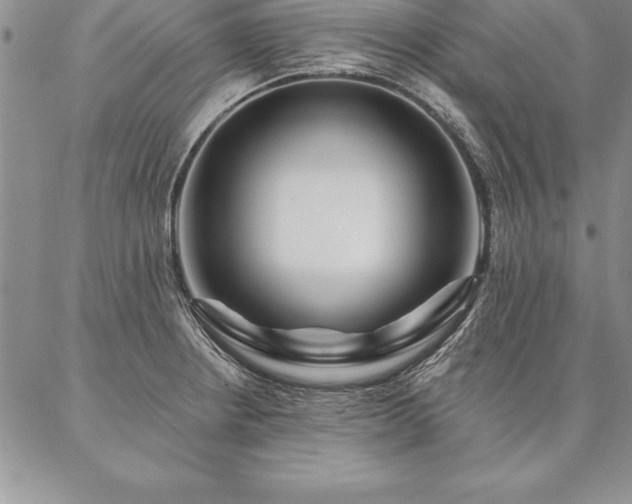 X0000087381234200704271549