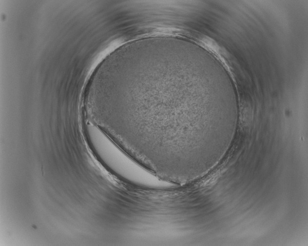 X0000087381235200704271549