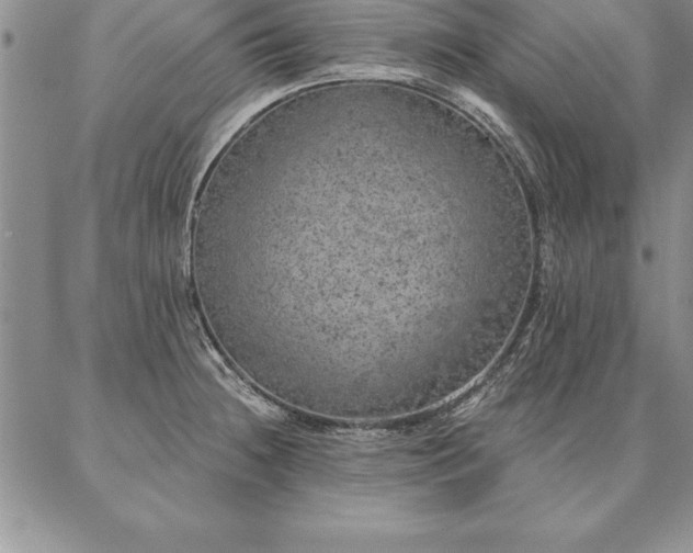 X0000087381236200704271549