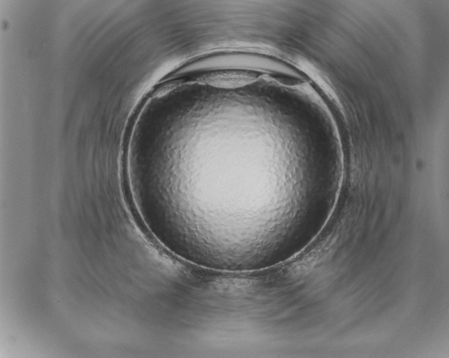 X0000087381237200704271549