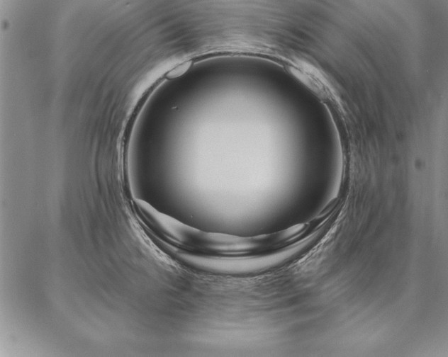 X0000087381238200704271549