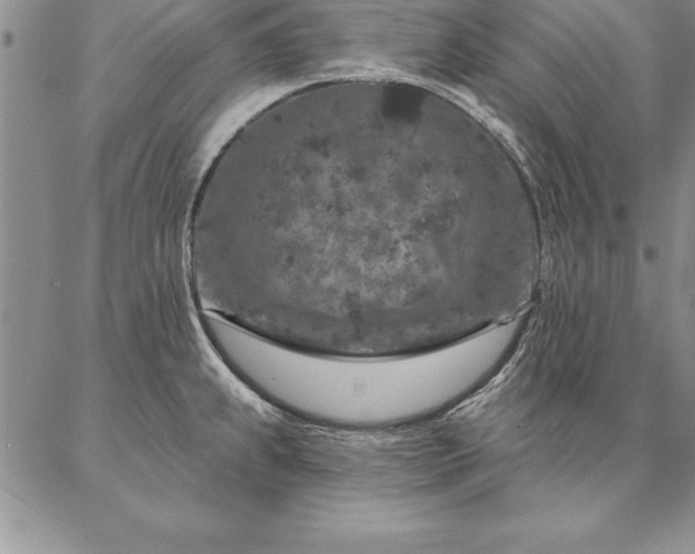 X0000087381239200704271549